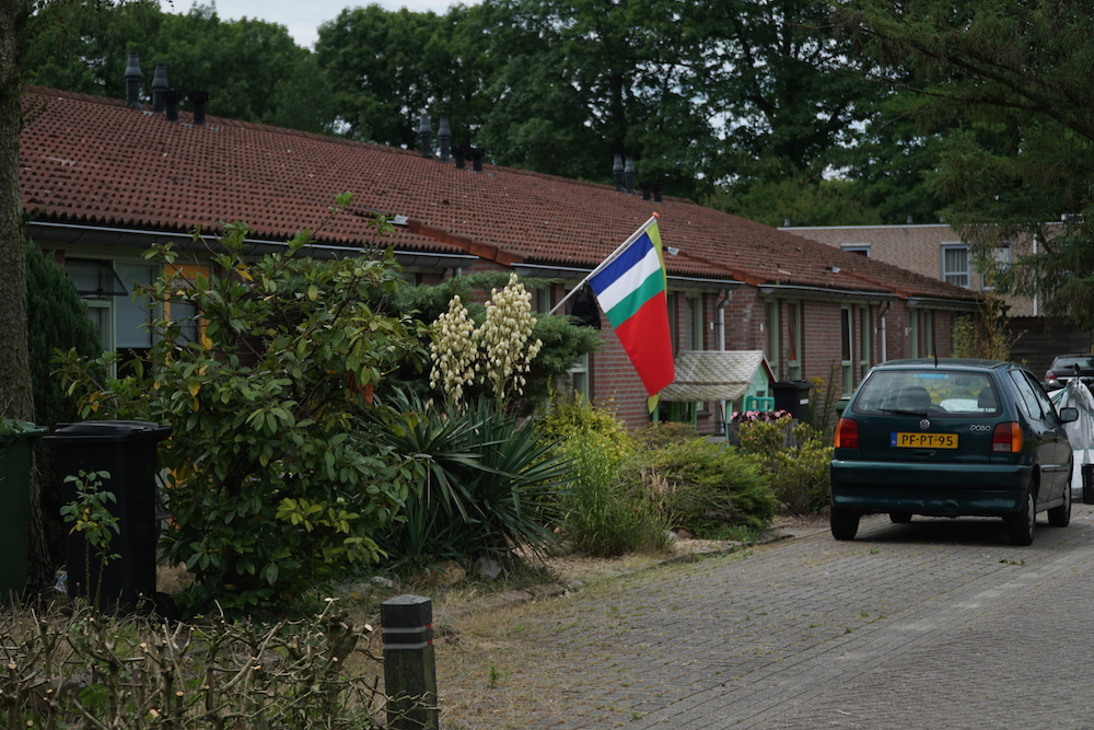 flag, plants, and car in front of building