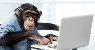 monkey with glasses sitting at a laptop