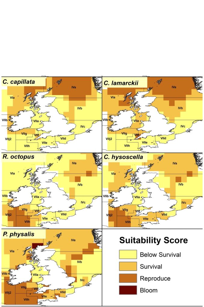 Courtesy of Kennerly et al., 2021. Predicted suitability rankings of UK and Irish waters to resident jellyfish species within the mid-year in terms of SST, PPT and the prey index layers.