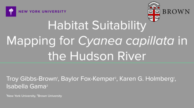 Cover of research presentation, "Habitat Suitability Mapping for C. capillata in the Hudson River"