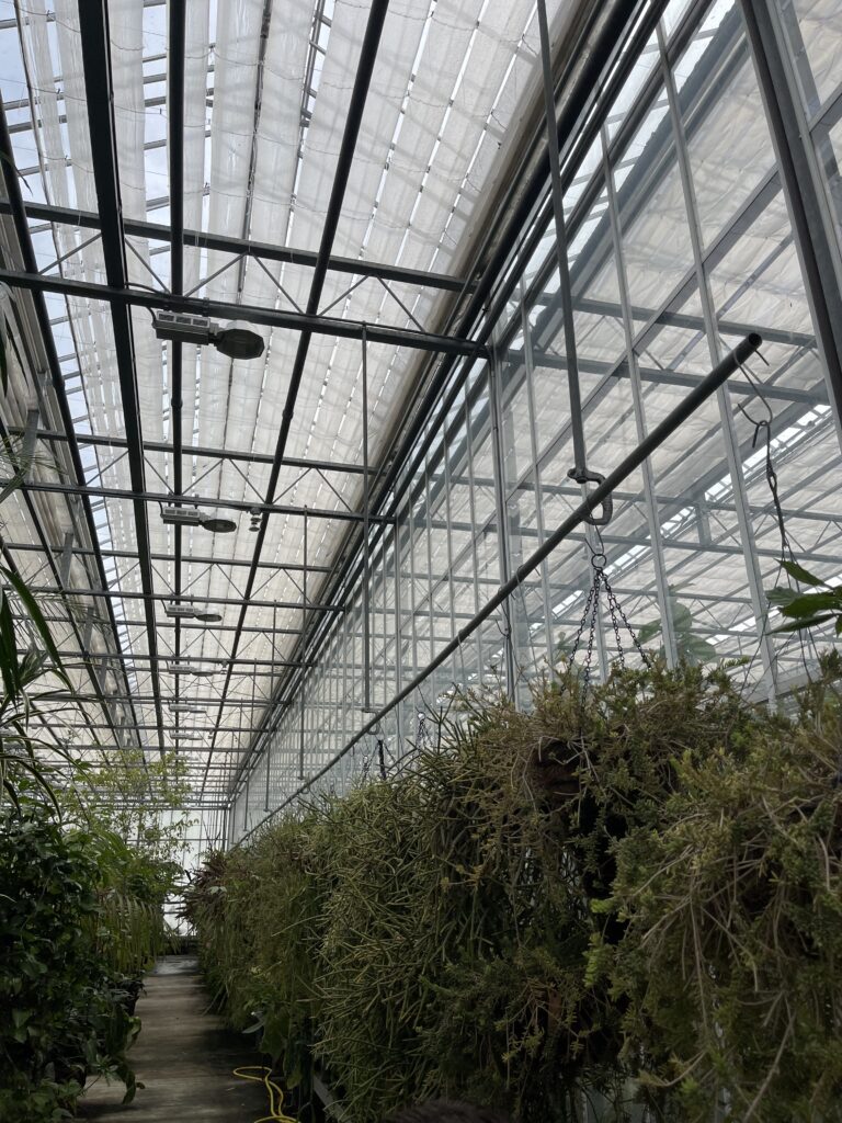Looking down a private greenhouse at the New York Botanical Garden with rows of tropical plant varieties being cultivated