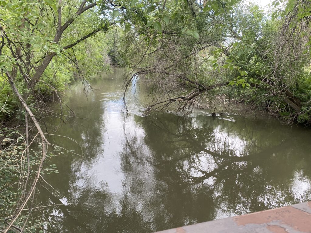 Picture of the Jordan River with lots of trees on both sides of the photo with brown branches and green leaves.